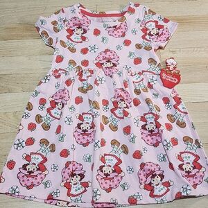 Strawberry Shortcake Pink Kids Dress
